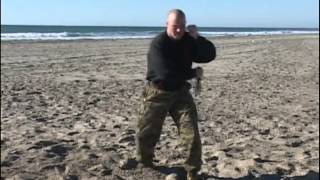 Celebrity EXECUTE A REVERSE GRIP REVERSE TRUST Net Worth