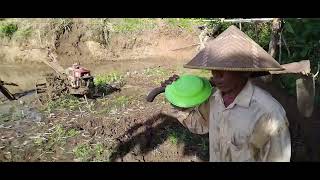 Penggarapan Sawah Di daerah pesawahan Urug dan Cibabut Desa Kaso kec Tambaksari