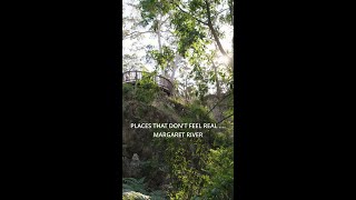 Step Into A Dream World Beneath The Surface... In