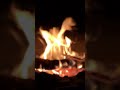 روف بي يا اغلى الحبايب روف بي يا اغلى الحبايب