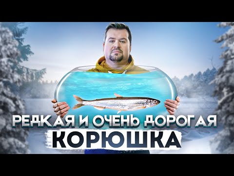 НЕДООЦЕНЕННАЯ РЫБА КОТОРАЯ ПАХНЕТ ОГУРЦОМ