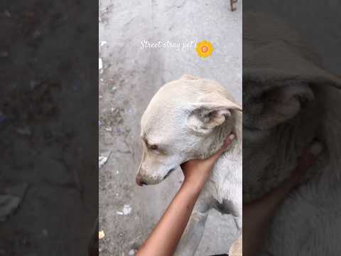 I love you 🧿❤️ #viralvideo #aesthetic #minivlog #god #youtubeshorts #pets #aesthetic #viralvideo
