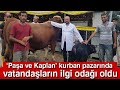 İşte En Küçük Kurbanlık