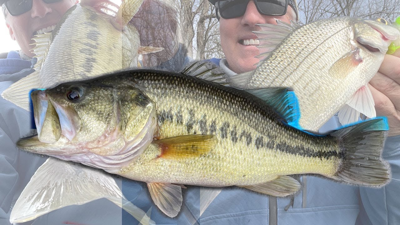 Eastern Kansas Springtime Springtime Spinnerbait Fishing in eastern Kansas - YouTube