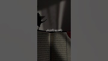 إن المسلمين والمسلمات والمؤمنين والمؤمنات #قران #اجزوني_ابراهيمي #quran #قران_كريم #تلاوة_خاشعة ♥️🩷