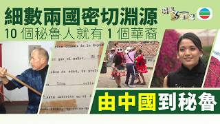TVB時事多面睇｜冷知識：中國、秘魯為何關係密切？｜2025年1月30日｜無綫新聞 ｜TVB News