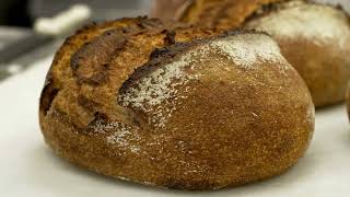 Sourdough From Locally Grown Grains