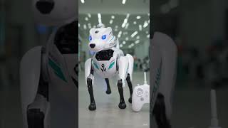 കുട്ടികൾക്കായി ഒരു സ്മാർട്ട് റോബോട്ട് കൂട്ട്! 🤖🐕 | Interactive Robot Dog Toy Unboxing &amp; Review