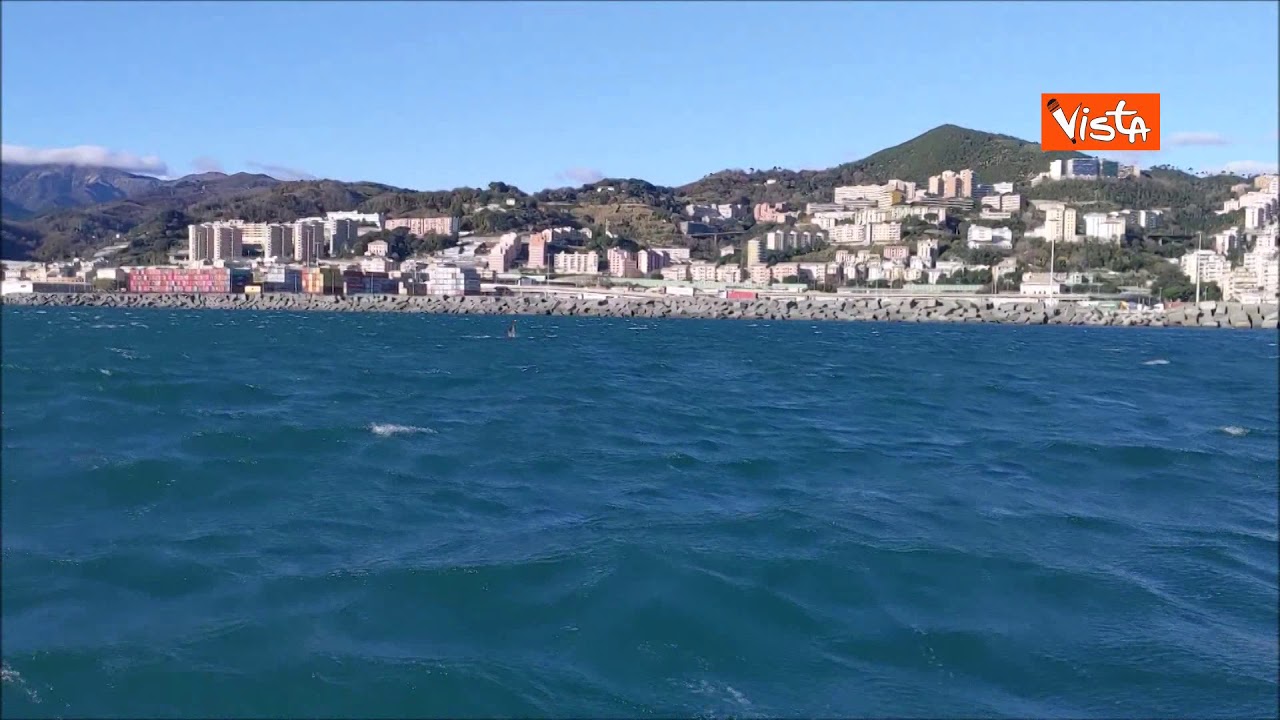 Orche nel porto di Genova, il video dell'avvistamento - YouTube