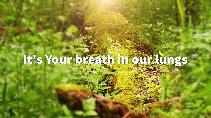 Great are You Lord - Shane Lepisi | Capital Worship