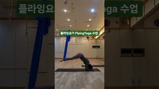 🎯 플라잉요가 FlyingYoga #시니어건강 #신체균형유지운동 #상체근육강화 #seniorlife
