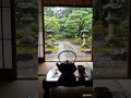 Rain &amp; Piano Beyond the Kettle 🍵 Zen Garden Rain for Sleep &amp; Study
