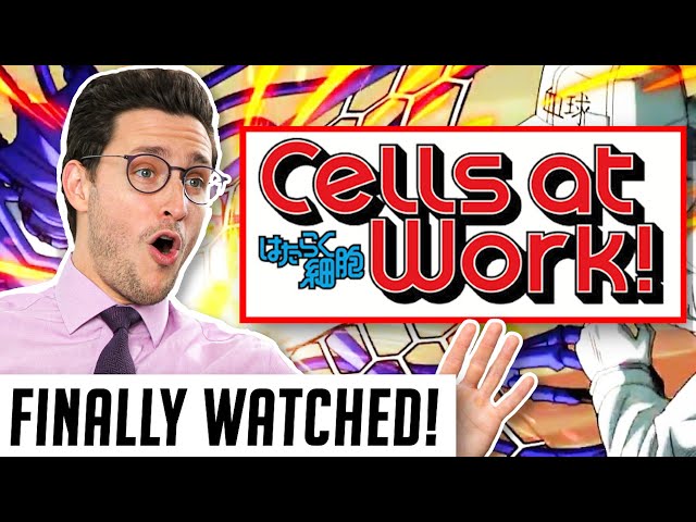 You Should be Watching: Cells at Work – The Science Of