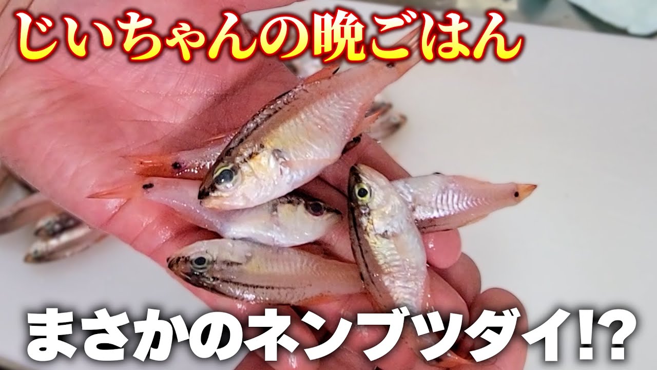 【未利用魚】ネンブツダイで作る天ぷら・唐揚げが美味すぎた