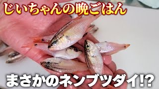 【未利用魚】ネンブツダイで作る天ぷら・唐揚げが美味すぎた