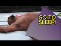 SLEEPY TIME KICKS! [UFC] [Dashie VS. Sport]