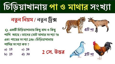 MIXTURE || মিশ্রণ  ট্রিক্স | Ratio & proportion tricks || Shortcut tricks | Math Tricks by Hasnat