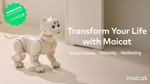 Meet Maicat The Smart Home AI Robot Cat - Meet Miko — A Smart Robot For Playful Learning.