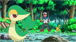 Ash Atrapa A Snivy