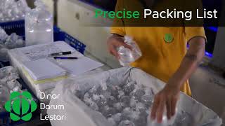 Indonesia Marine Ornamental Fish Quality Packing