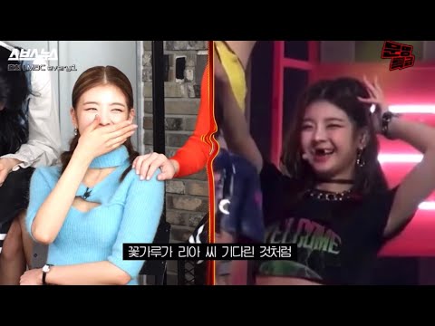 빙구리아에 대한 해명