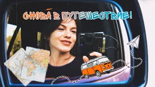 VLOG: ОПЯТЬ ПУТЕШЕСТВУЕМ | НАША СОБАКА НАШЛА ПОДРУГУ!