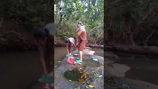 542019 Mus Da Dej Roob Kub Twm Nawb