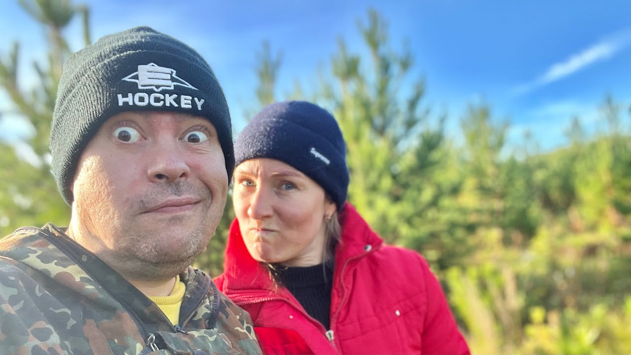 Ушли за Грибами - Рыжики... собрали и приготовили. Вкус удивил ) - YouTube