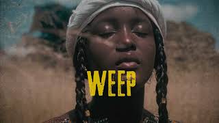 Afrobeat Instrumental 2024 Burna Boy Ft Rema Type Beat "WEEP" Afrobeat Type beat