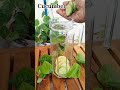 Belly Slimming Detox Water#Fat Cutter Drink