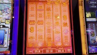$70 Red Screens at The Lucky Eagle!