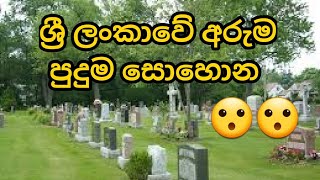 කනත්තක් මැද තියෙන ශ්‍රී ලංකාවේ මිනින්දෝරු ලක්ෂ්‍යය - matale sri lanka - 