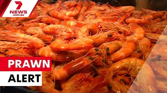 How imported seafood could be dodging biosecurity | 7NEWS