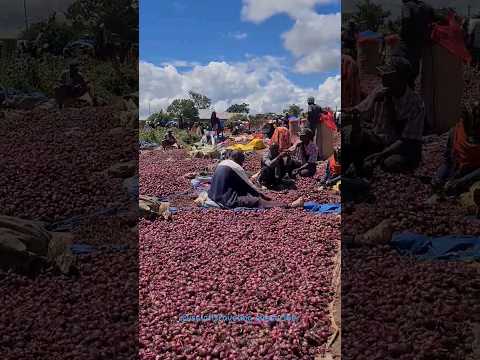Soko La Vitunguu Singida Onion Market In Singida Town Singida Onionmarket Tanzania Shorts