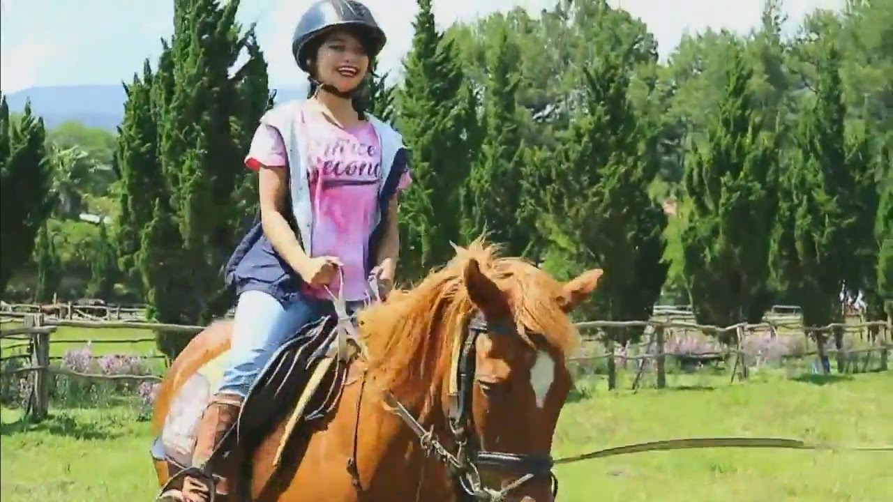 Wisata Belajar Berkuda Wisata Belajar Berkuda