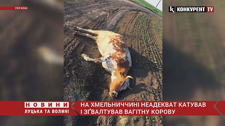 🤬На Хмельниччині неадекват тягав корову за трактором і ЗҐВАЛТУВАВ: каже, що робить це вже не вперше