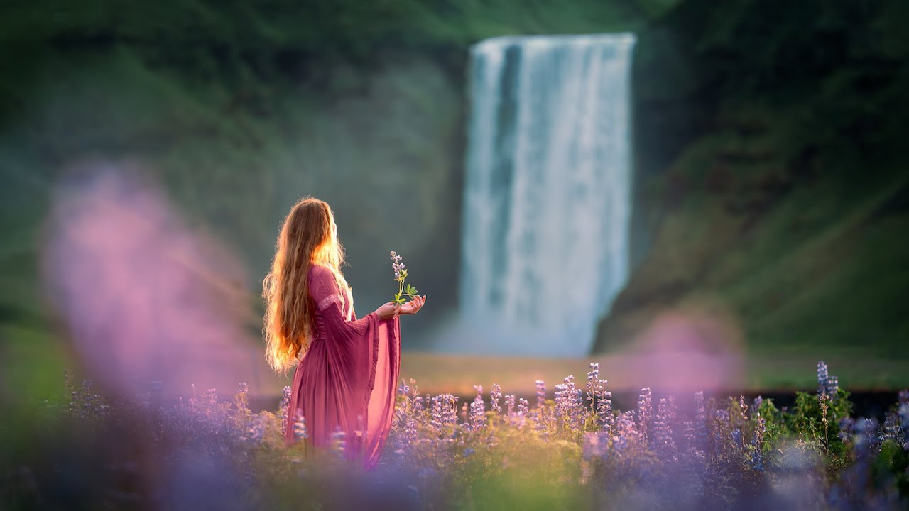 Tim Janis: Our Natural World, Returning to Earth