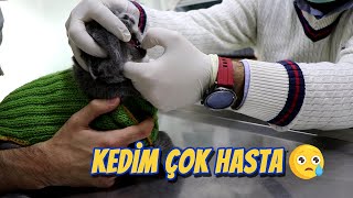 KEDİMİZ ÇOK HASTA!  (Kusuyor, Yemek Yemiyor, Hasta)