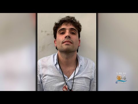 Mexican Authorities Briefly Arrest El Chapo's Son