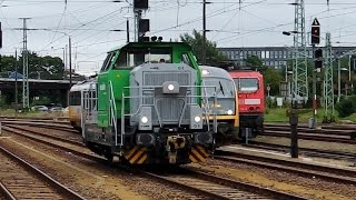 Cottbus/Chośebuz mit ODEG (KISS +Mitfahrt, Desiro), Regionalzüge (BR 112, 143 442), BR 232 und mehr