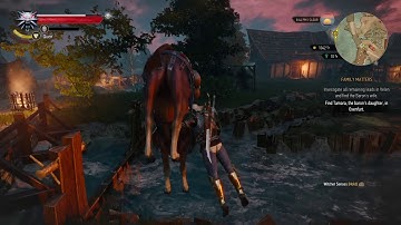 The Witcher 3: Wild Hunt Roach Glitch