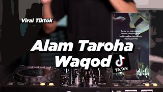 ALAM TAROHA WAQOD | VIRAL TIKTOK