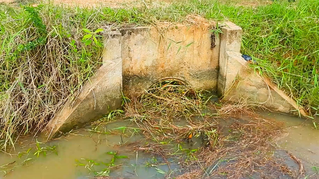Remove Debris Clogged Culvert Farm