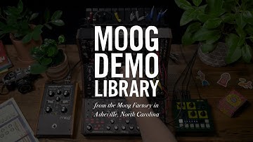 Moog Sound Studio | Patch Demonstration | Standing on Shoulders