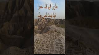 إن لله عبادا فطنا من روائع شعر الإمام الشافعي#shorts