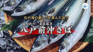 「八戸前沖さば」のさばき方 ｜日本さばけるプロジェクト