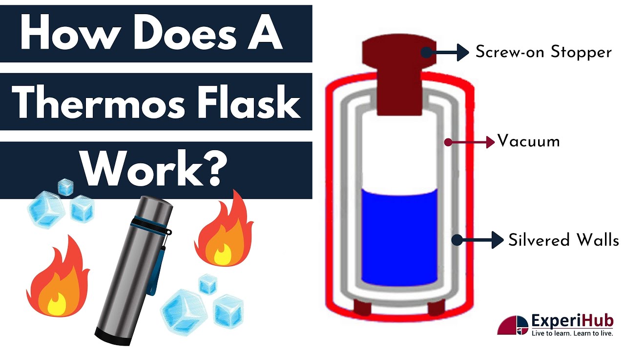 Inner Workings of a Thermos - How Thermoses (Vacuum Flasks) Work