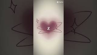 Z ❤️ je t'aime plus que tout au monde entier ❤️