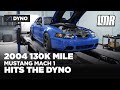 How Much Power Does A 2004 Mach 1 Make In 2021? | Mustang Mach 1 Dyno