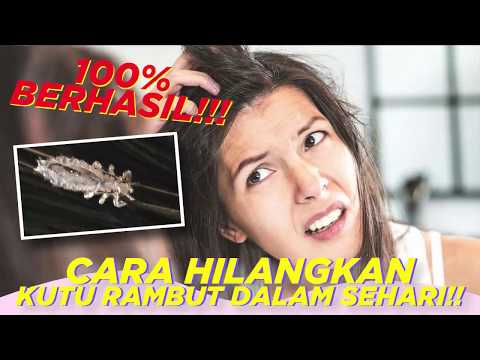 Video: Cara Mencegah dan Mengobati Dog Callus